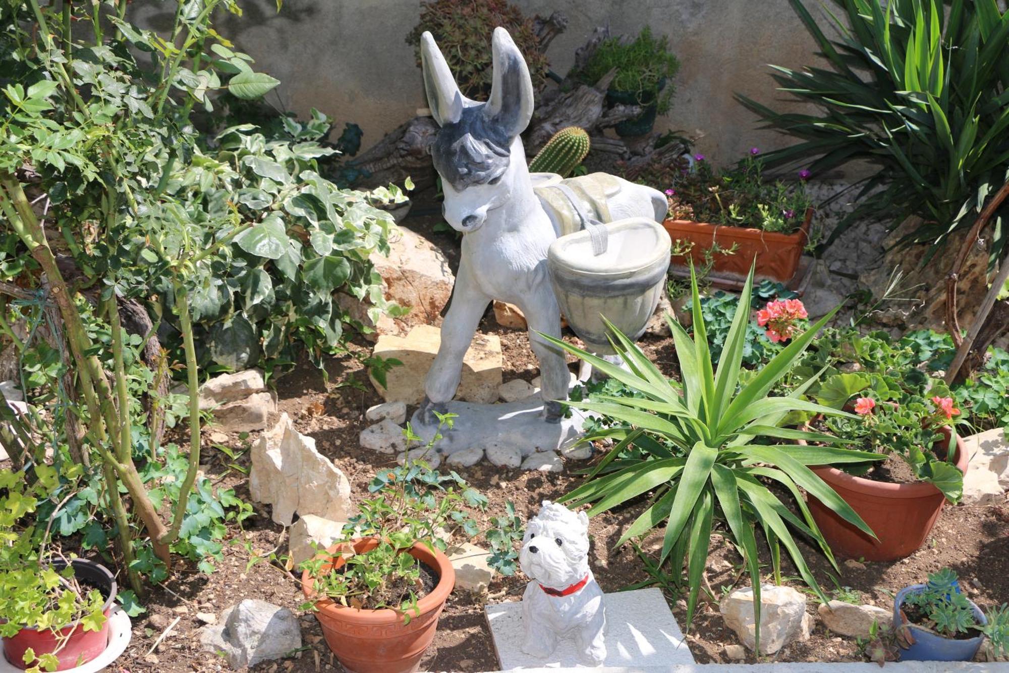 Zablaće Apartment Grgas-Tucilo מראה חיצוני תמונה